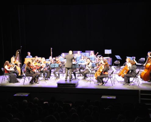 Fromanger, Hurel et le PESMD (7)