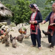 CONNAISSANCE DU MONDE - VIETNAM