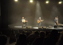 Les Cogitations_Frederic Fromet