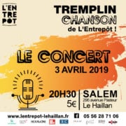 Le concert du tremplin chanson