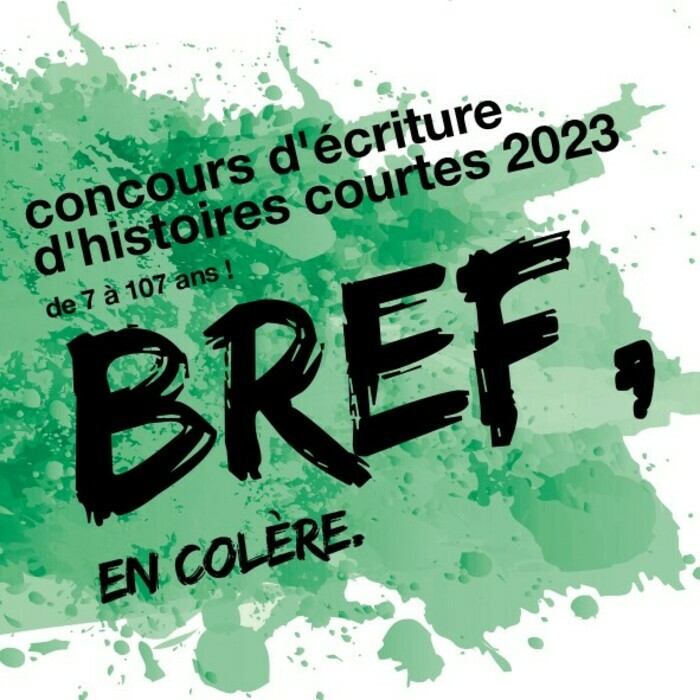 LES COGITATIONS / BREF, JE SUIS EN COLÈRE